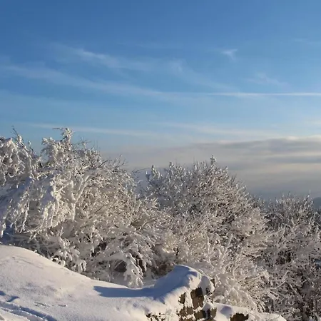 別荘 Jaegerhaus By Interhome Oppach