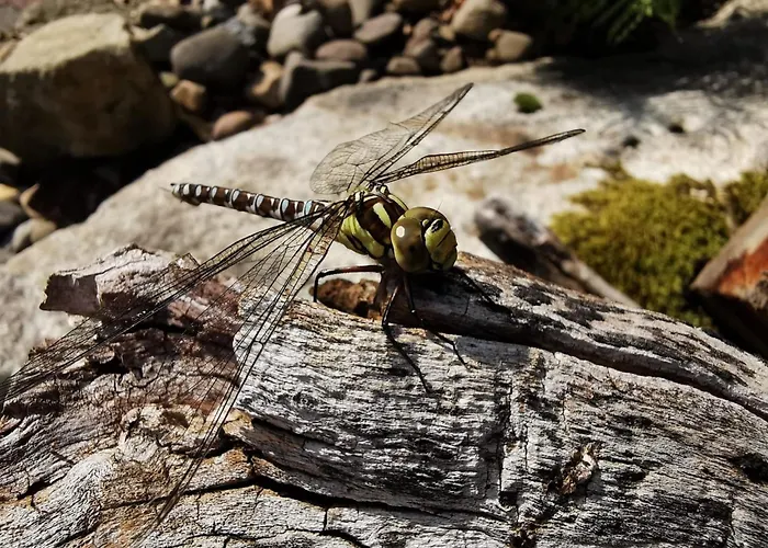 Jaegerhaus By Interhome *